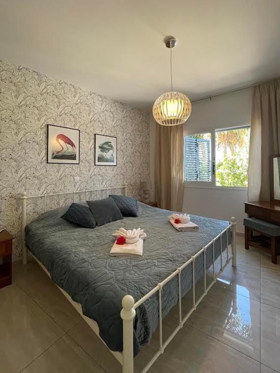 Timeless Cyprus Appartement Paphos Buitenkant foto