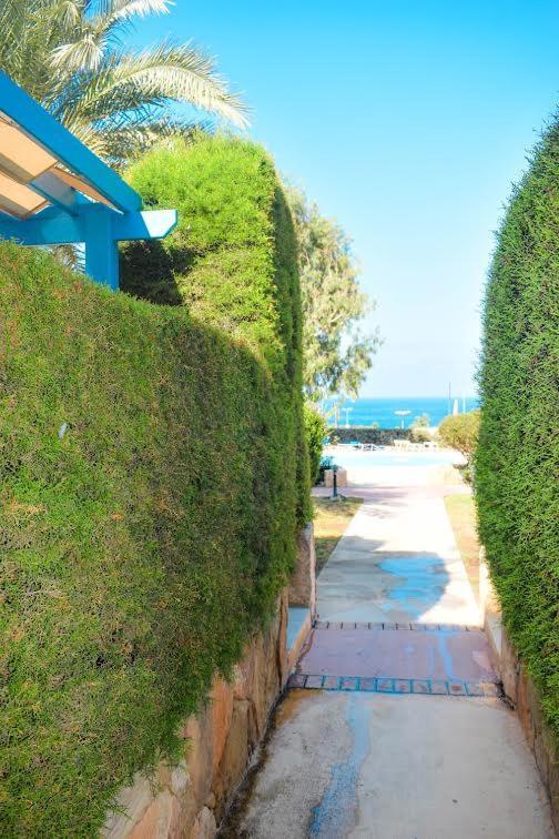 Timeless Cyprus Appartement Paphos Buitenkant foto